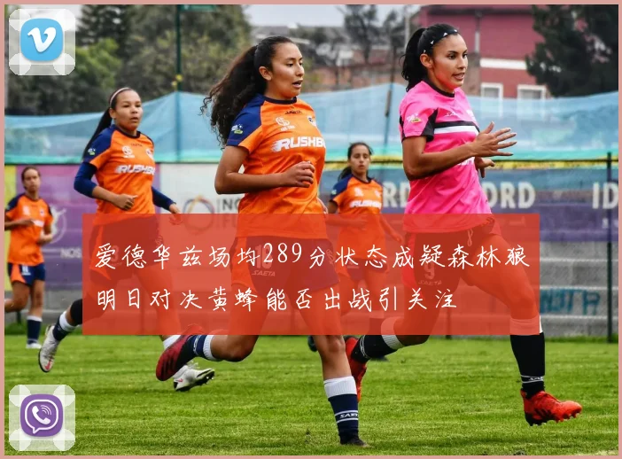爱德华兹场均289分状态成疑森林狼明日对决黄蜂能否出战引关注