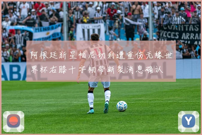 阿根廷新星帕尼切利遭重伤无缘世界杯右膝十字韧带断裂消息确认